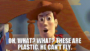 woody telling buzz he can't fly